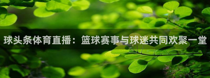 球头条体育直播：篮球赛事与球迷共同欢聚一堂