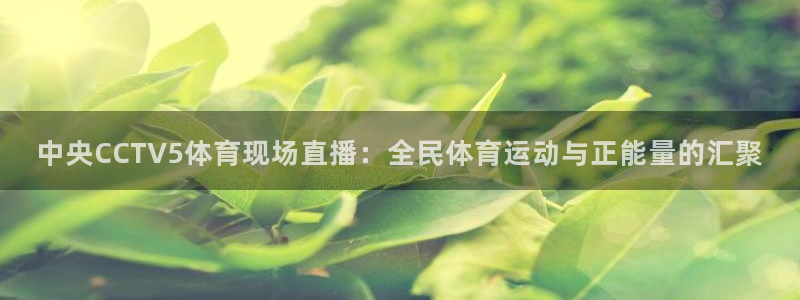 中央CCTV5体育现场直播：全民体育运动与正能量的汇聚