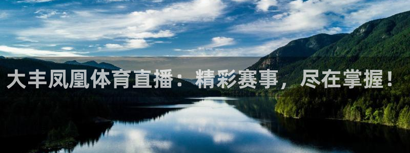 大丰凤凰体育直播：精彩赛事，尽在掌握！