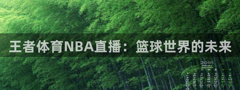 王者体育NBA直播：篮球世界的未来